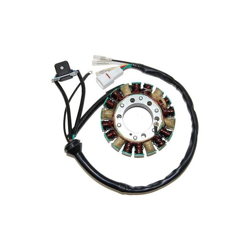 product/e/l/electrosport_27870.jpg
