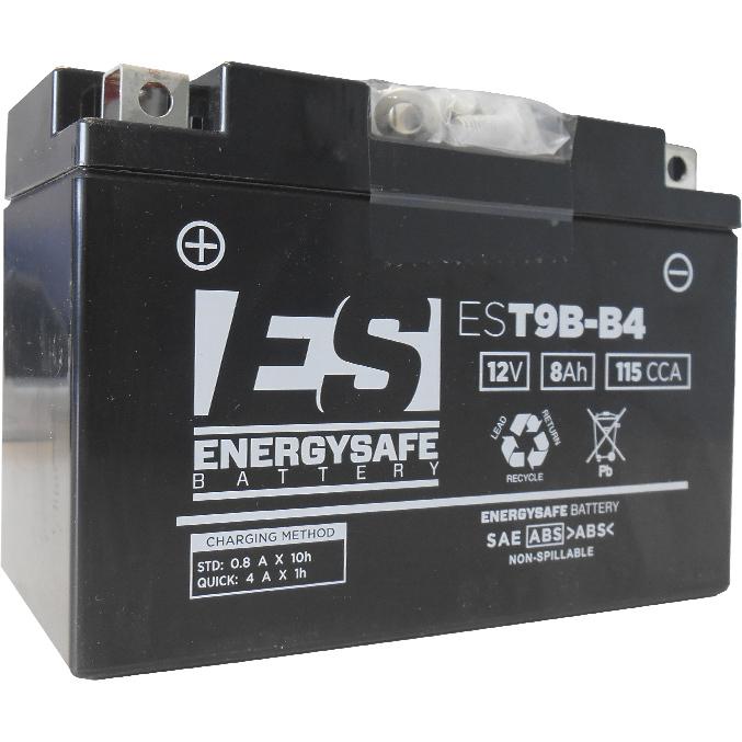 product/e/n/energy-safe_e4924.jpg