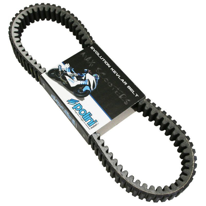 product/p/o/polini_157266_noir_1.jpg