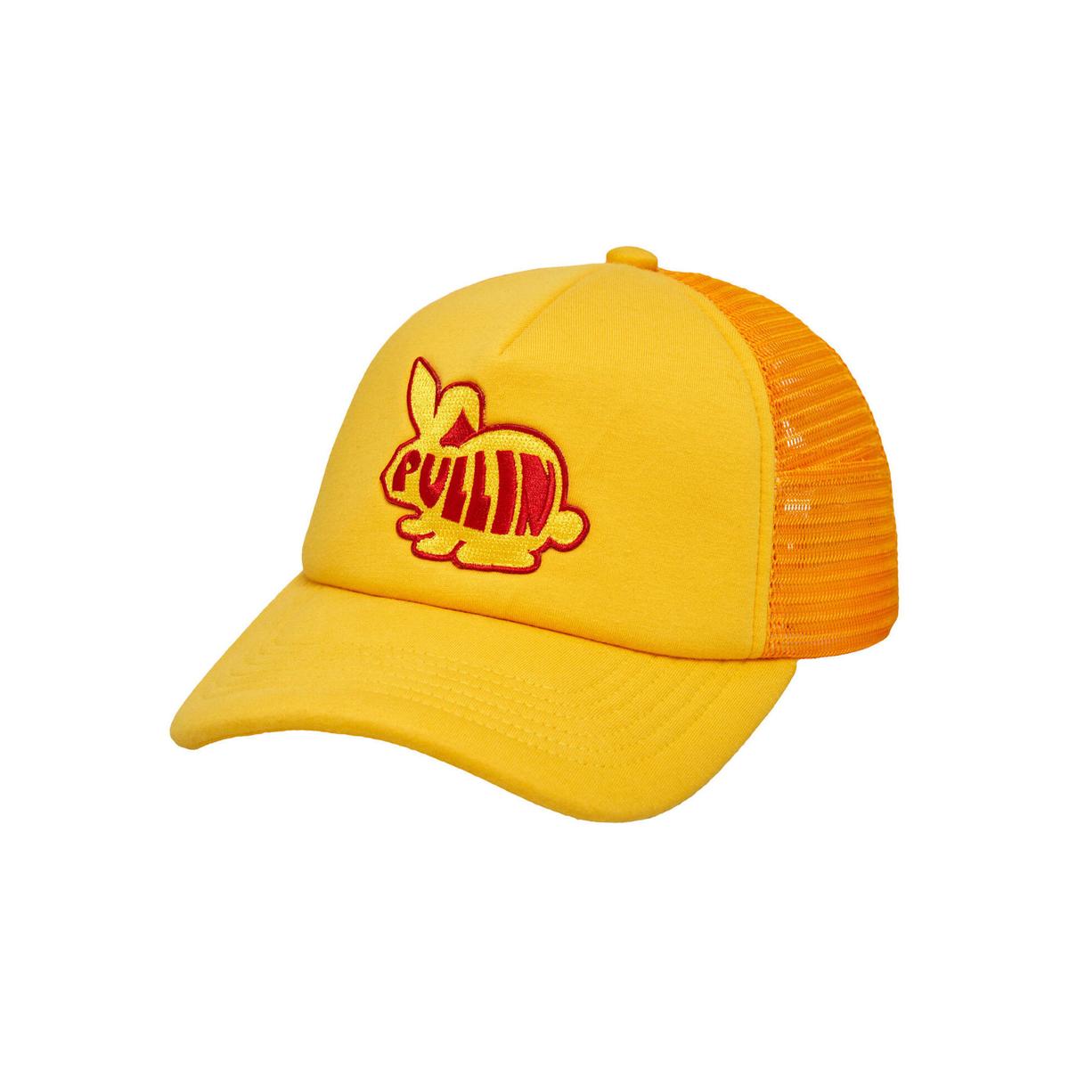 product/p/u/pull-in_235-4001002-04_1.jpg