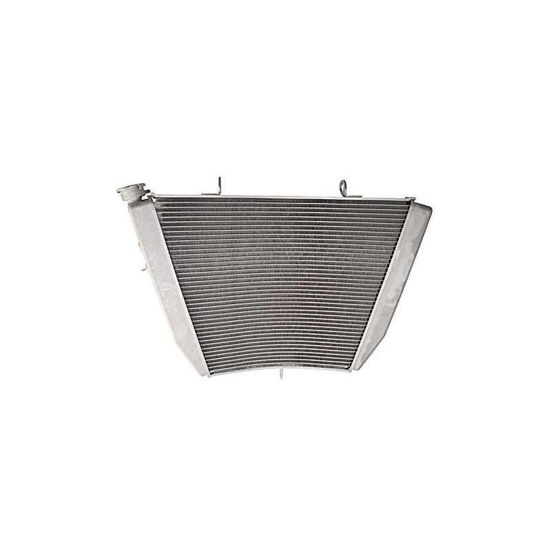 product/b/r/brazoline_56003_gris_1.jpg