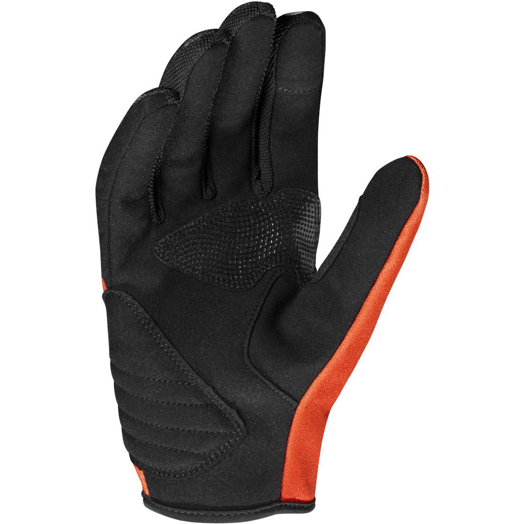 product/c/t/cts-1_b105k3_087_palm_1_1.jpg