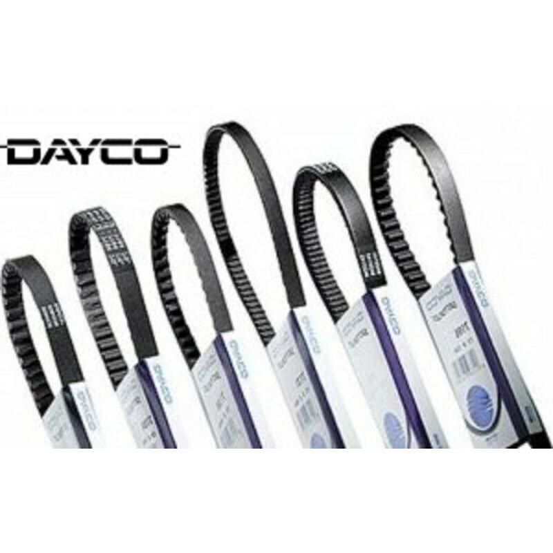 product/d/a/dayco_1040794_noir_1.jpg