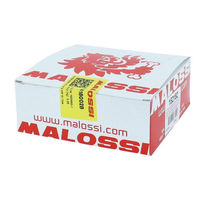 product/m/a/malossi_152182_2.jpg