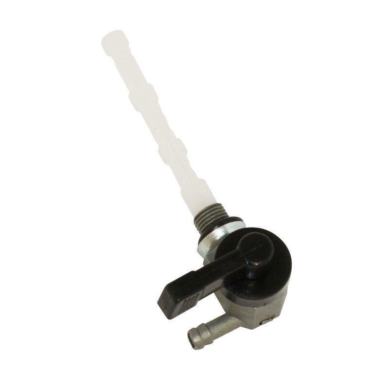 product/p/2/p2r_1077.jpg