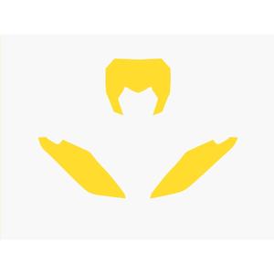 1095866001-fond-de-plaque-de-moto-blackbird-racing-fantic-xx-yel-tu
