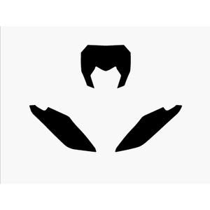 1095866003-fond-de-plaque-de-moto-blackbird-racing-fantic-xx-blk-tu