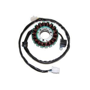 product/e/l/electrosport_27181.jpg