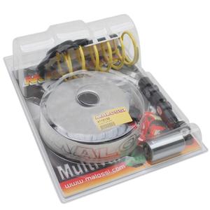 13831-variateur-maxiscooter-malossi-multivar-2000-sport-linhai-125-monarch-4t-150-monarch-4t-wt-motors-150-kayman-wt-4t-1p57qmj-noir-argente-tu