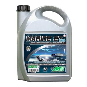 25917-huile-moteur-moto-minerva-oil-tcw3-100-france-5-l-gris-5-l