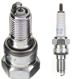 product/n/g/ngk_404301175.jpg