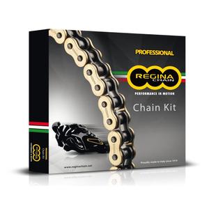 ka037-kit-chaine-regina-aprilia-1000-rsv4-raprc-11-tuono-v4r-1000-11-argente-tu