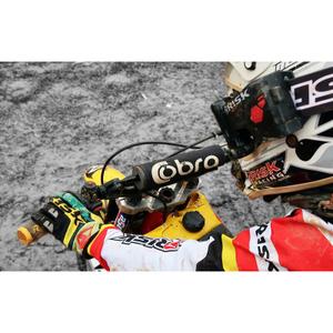 product/r/i/risk-racing_1061191_4.jpg