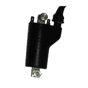 162410-bobine-sgr-ht-ducati-600-750-900-ducati-noir-12v